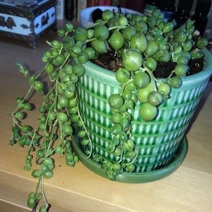 Meet your Posher, Avery